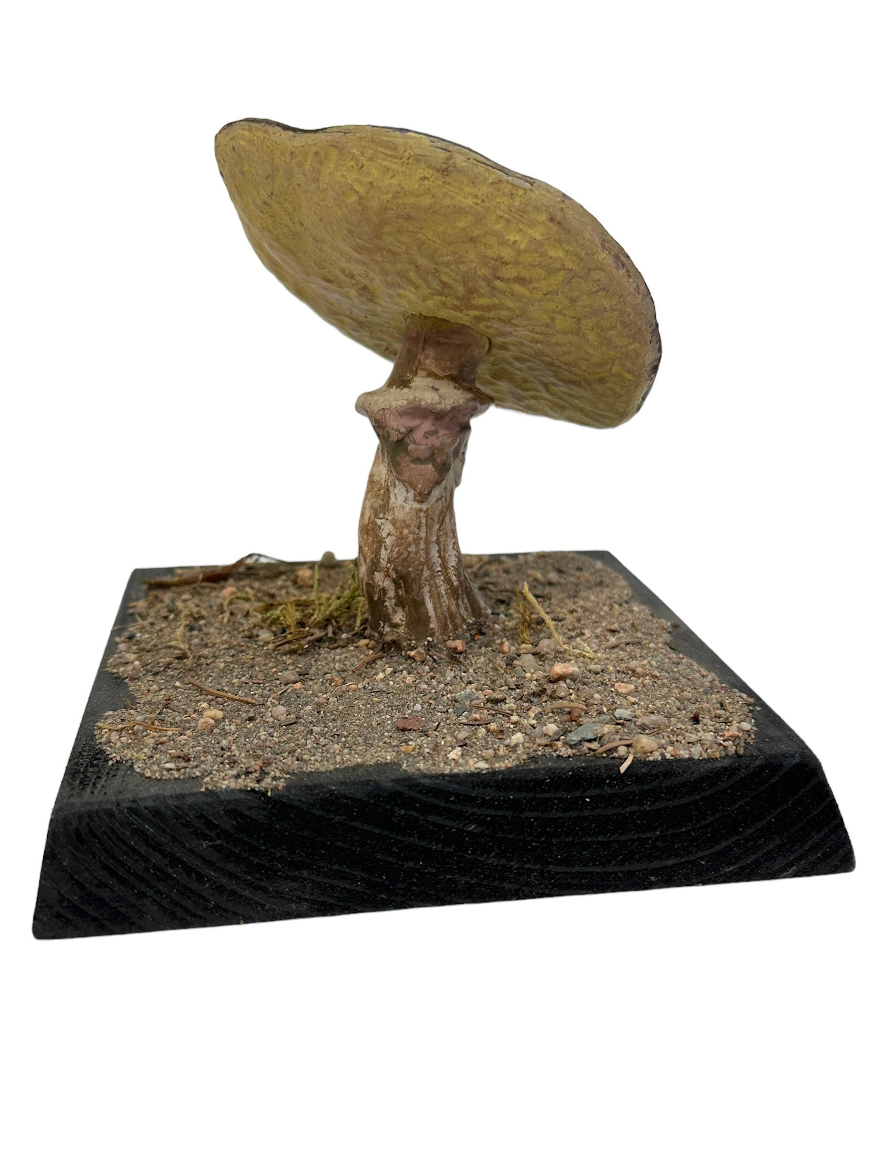 Dieses seltene Vintage-Modell eines botanischen wissenschaftlichen Exemplars stellt einen in Mitteleuropa heimischen Pilz dar. Diese Art von Artikeln wird als Unterrichtsmaterial in deutschen Schulen oder als Ausstellungsstücke in Apotheken