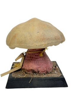 Mushroom Botanical Scientific Specimen Model Europe,  1950s or older