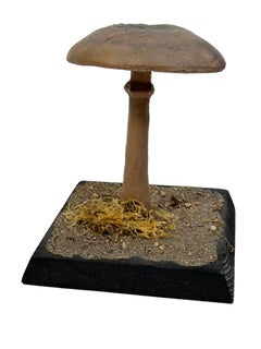 Mushroom Botanical Scientific Specimen Model Europe,  1950s or older