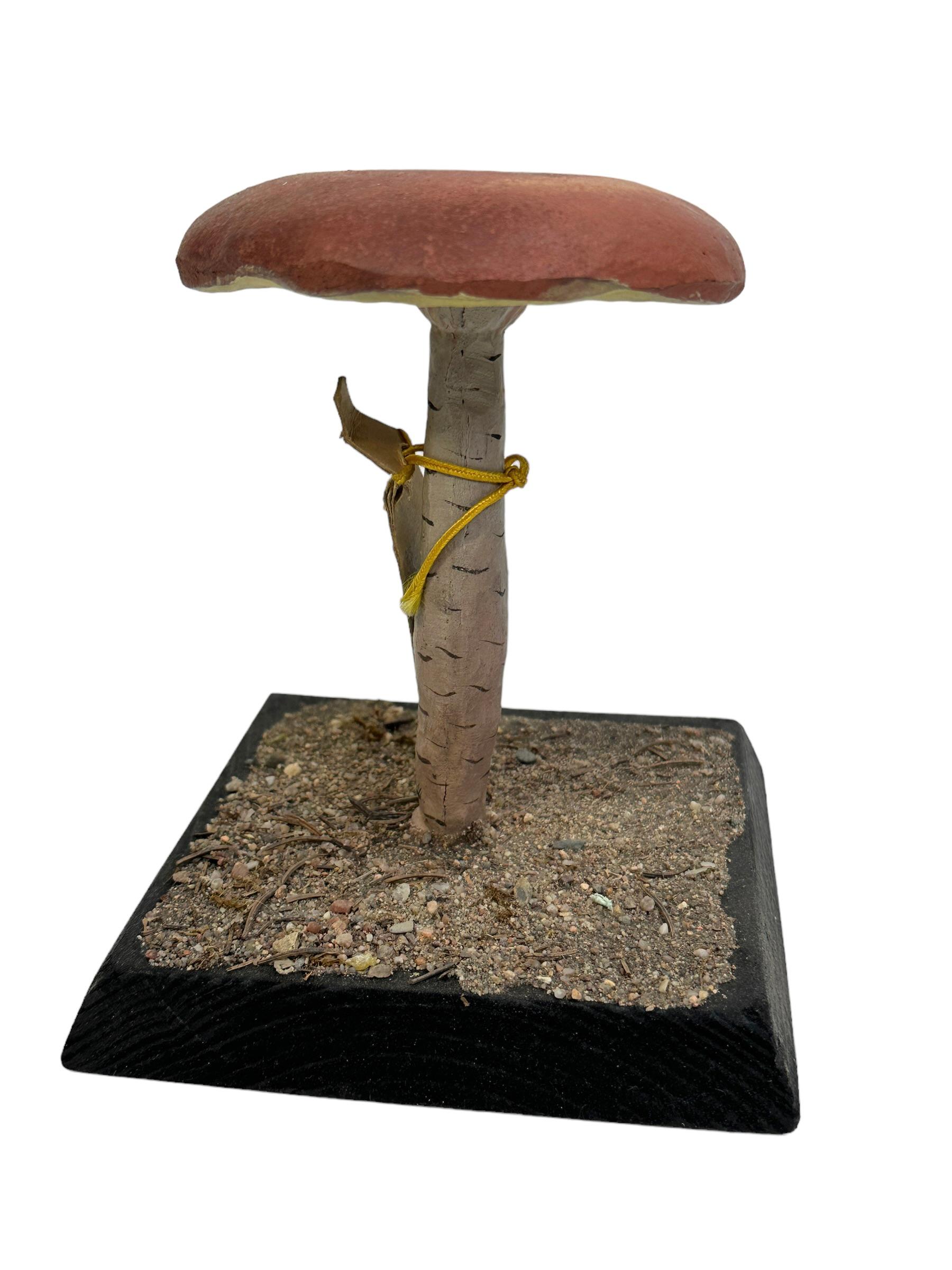 This rare vintage model of a botanical scientific specimen depicts a mushroom native to Central Europe. This kind of items are used as teaching material in German schools or as showpieces in pharmacies. Colorful in natural design they show the