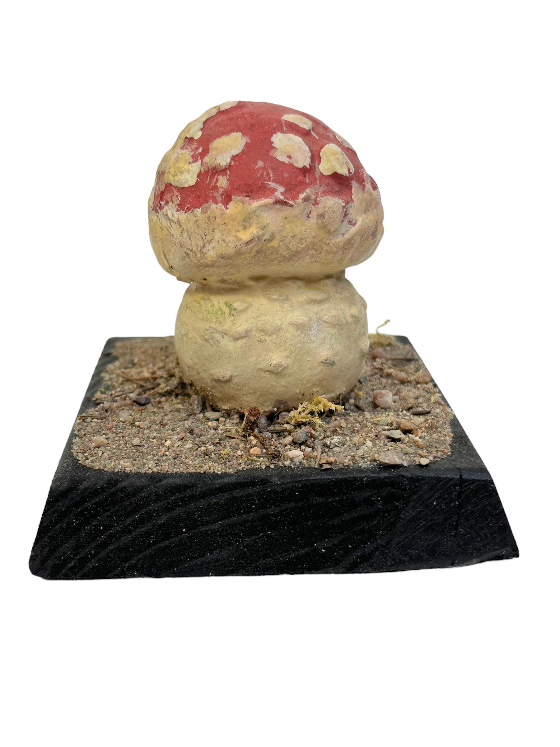 Folk Art Mushroom Botanical Scientific Specimen Model Europe,  1950s or older For Sale