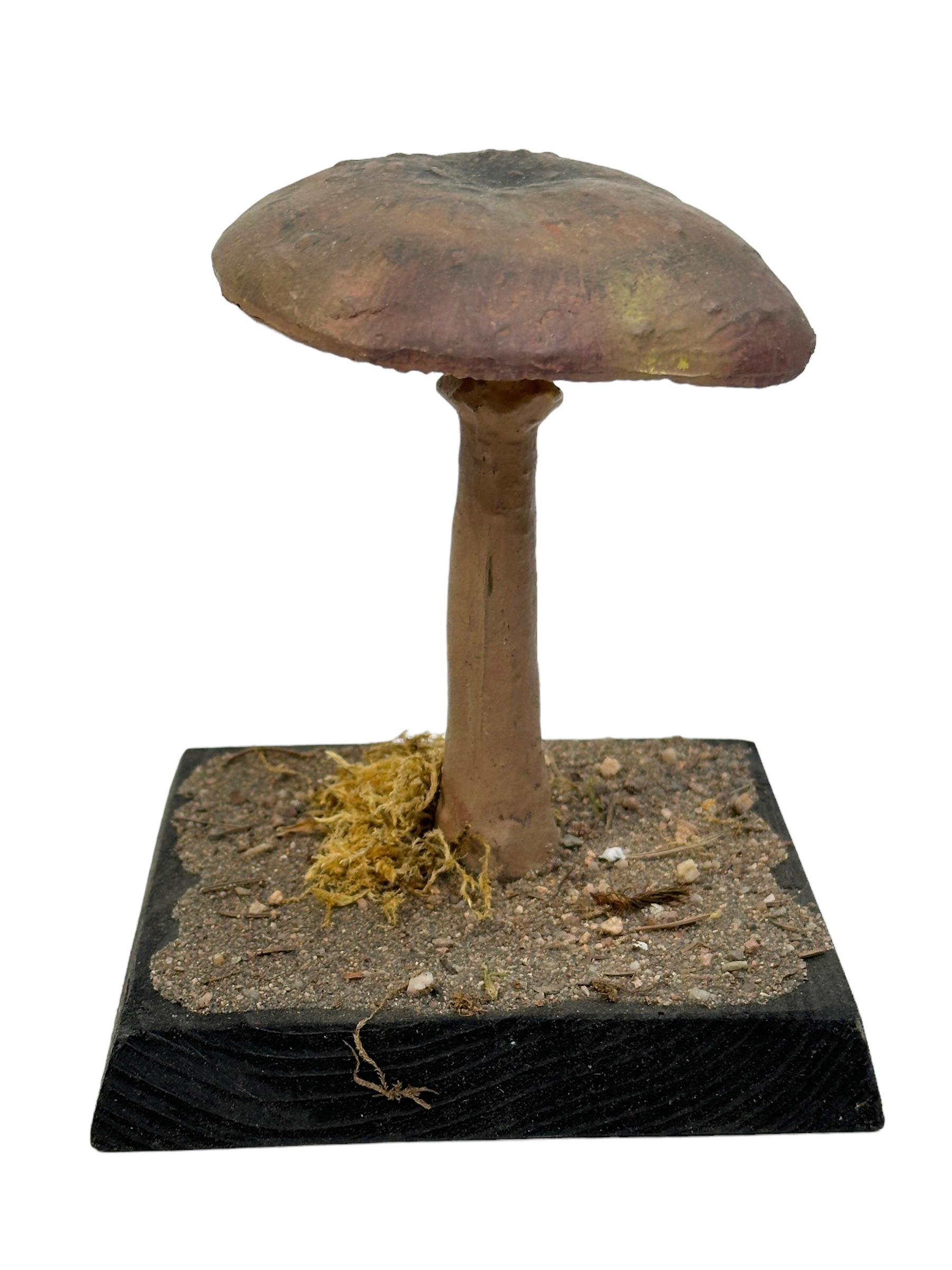 mushroom model