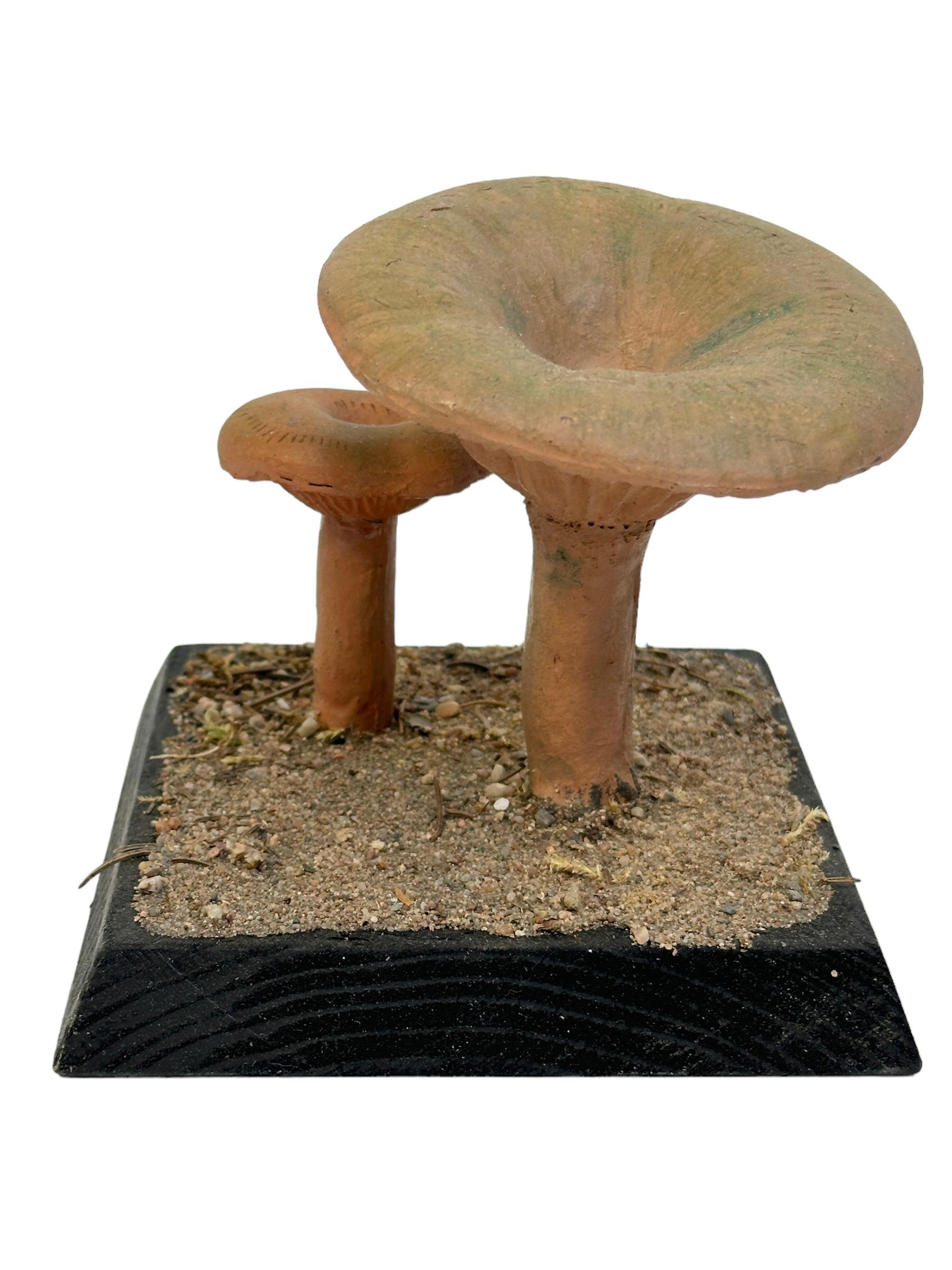 Folk Art Mushroom Botanical Scientific Specimen Model Europe,  1950s or older For Sale