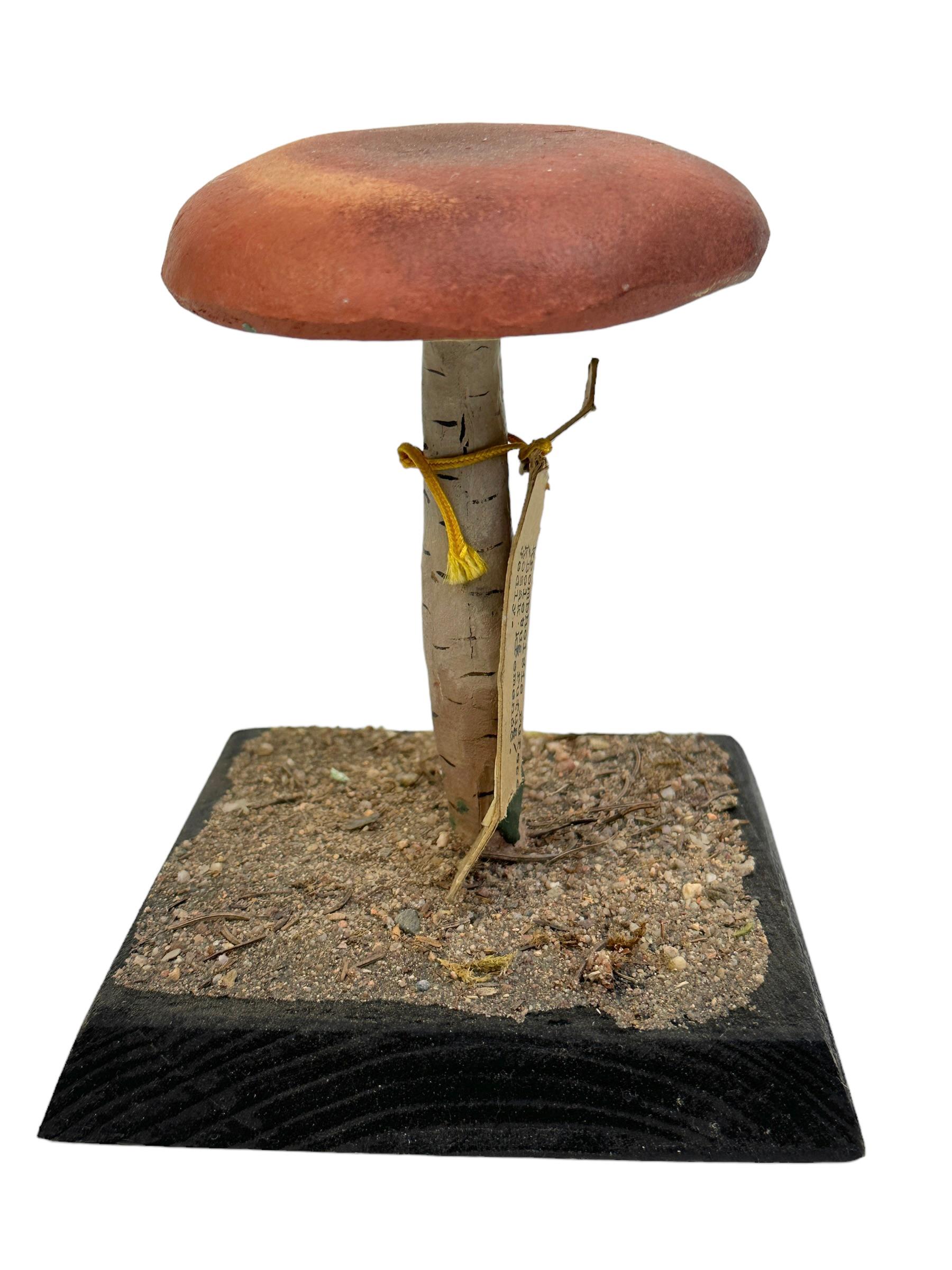 Tchèque Modèle scientifique de spécimen de champignons, Europe,  Années 1950 ou plus anciennes en vente