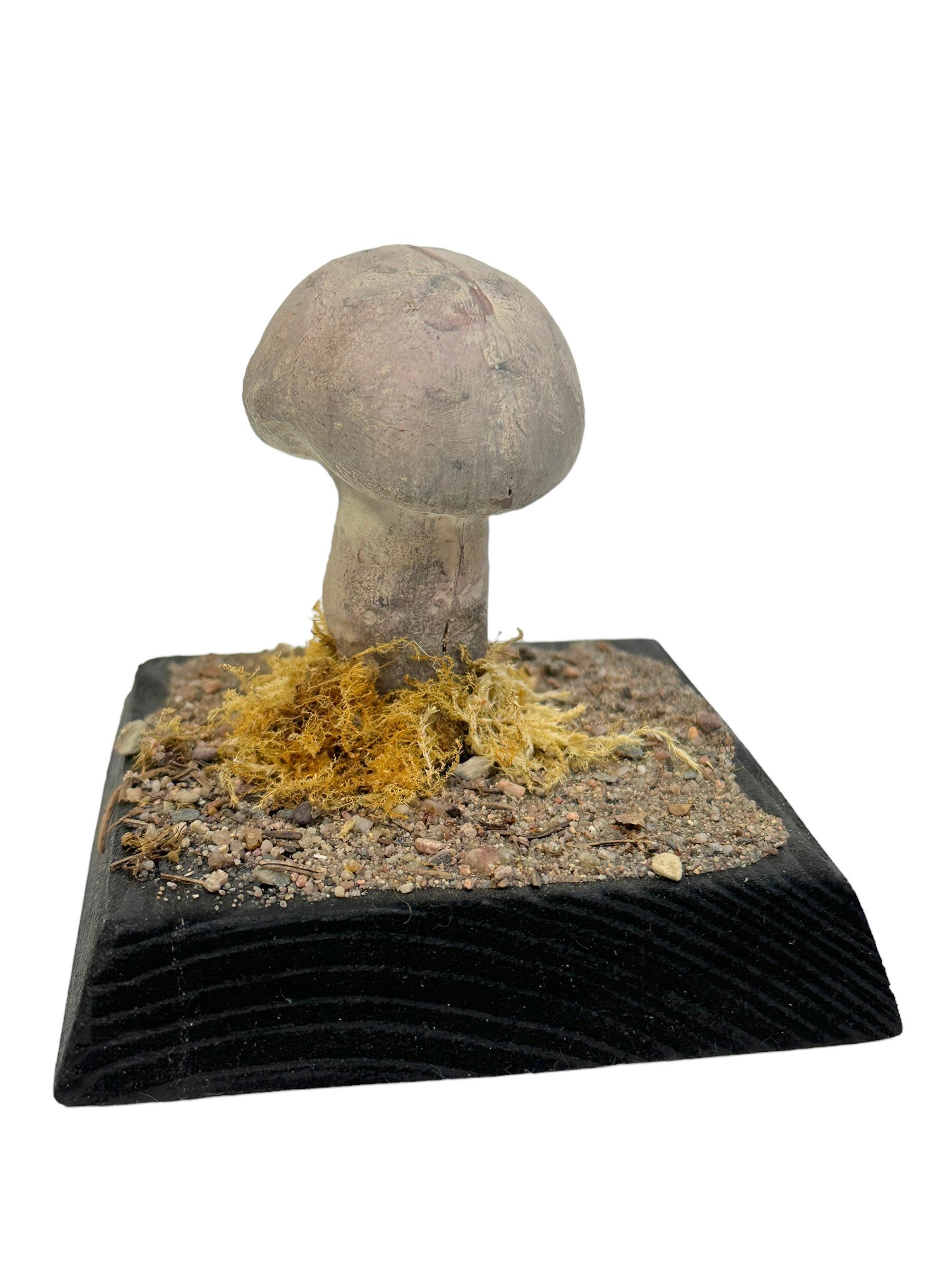Fait main Modèle scientifique de spécimen de champignons, Europe,  Années 1950 ou plus anciennes en vente