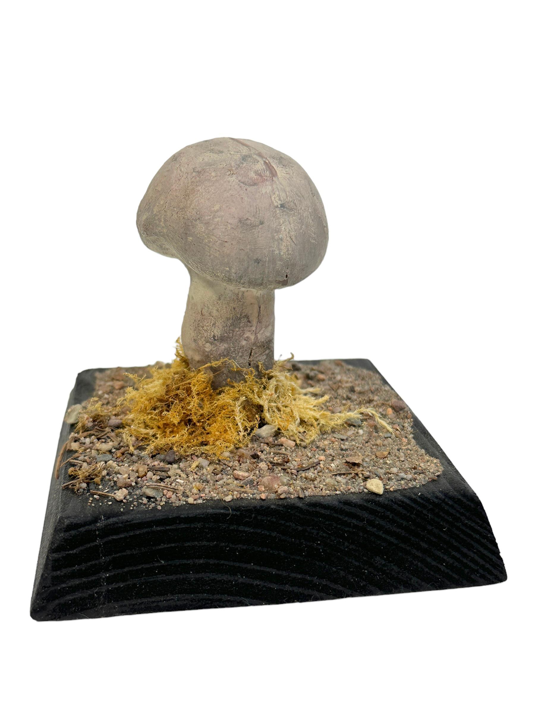 Czech Mushroom Botanical Scientific Specimen Model Europe,  1950s or older For Sale