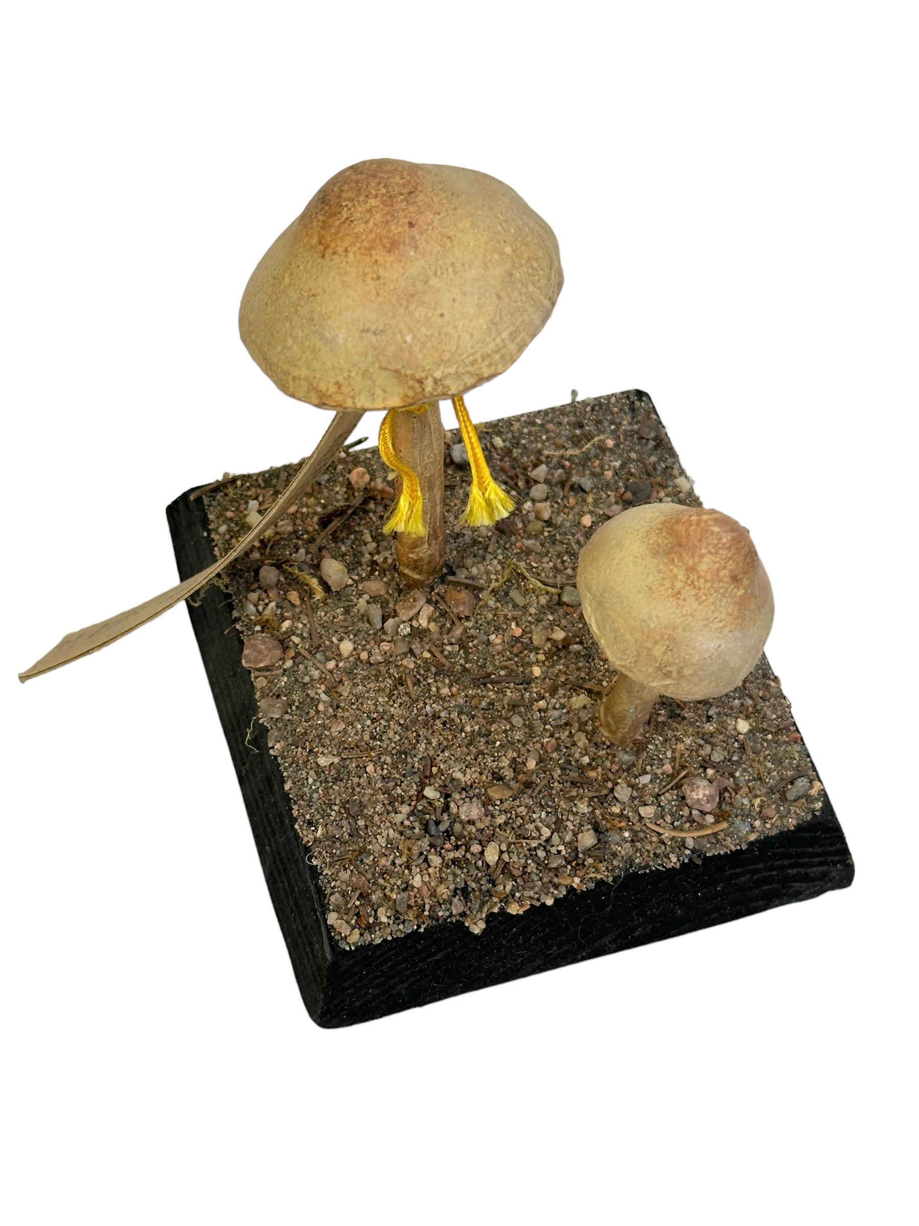 Hand-Crafted Mushroom Botanical Scientific Specimen Model Europe,  1950s or older For Sale