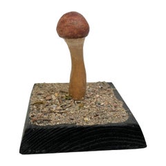 Mushroom Botanical Scientific Specimen Model Europe,  1950s or older