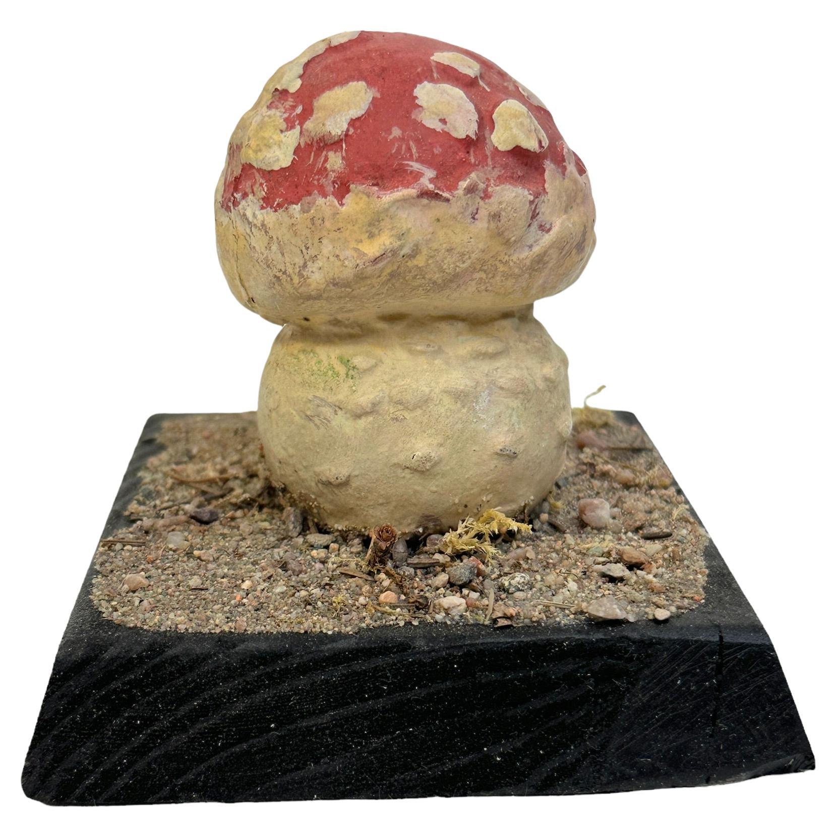 Mushroom Botanical Scientific Specimen Model Europe,  1950s or older For Sale