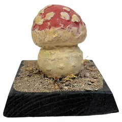 Antique Mushroom Botanical Scientific Specimen Model Europe,  1950s or older