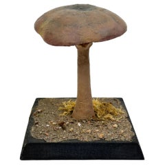 Retro Mushroom Botanical Scientific Specimen Model Europe,  1950s or older