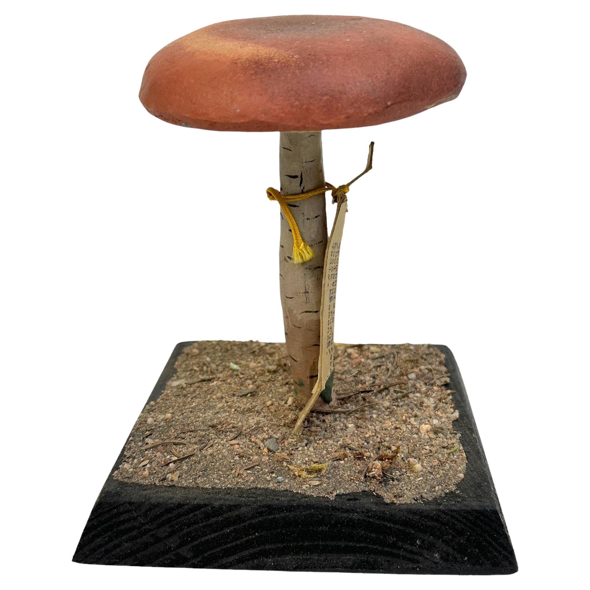 Modèle scientifique de spécimen de champignons, Europe,  Années 1950 ou plus anciennes en vente