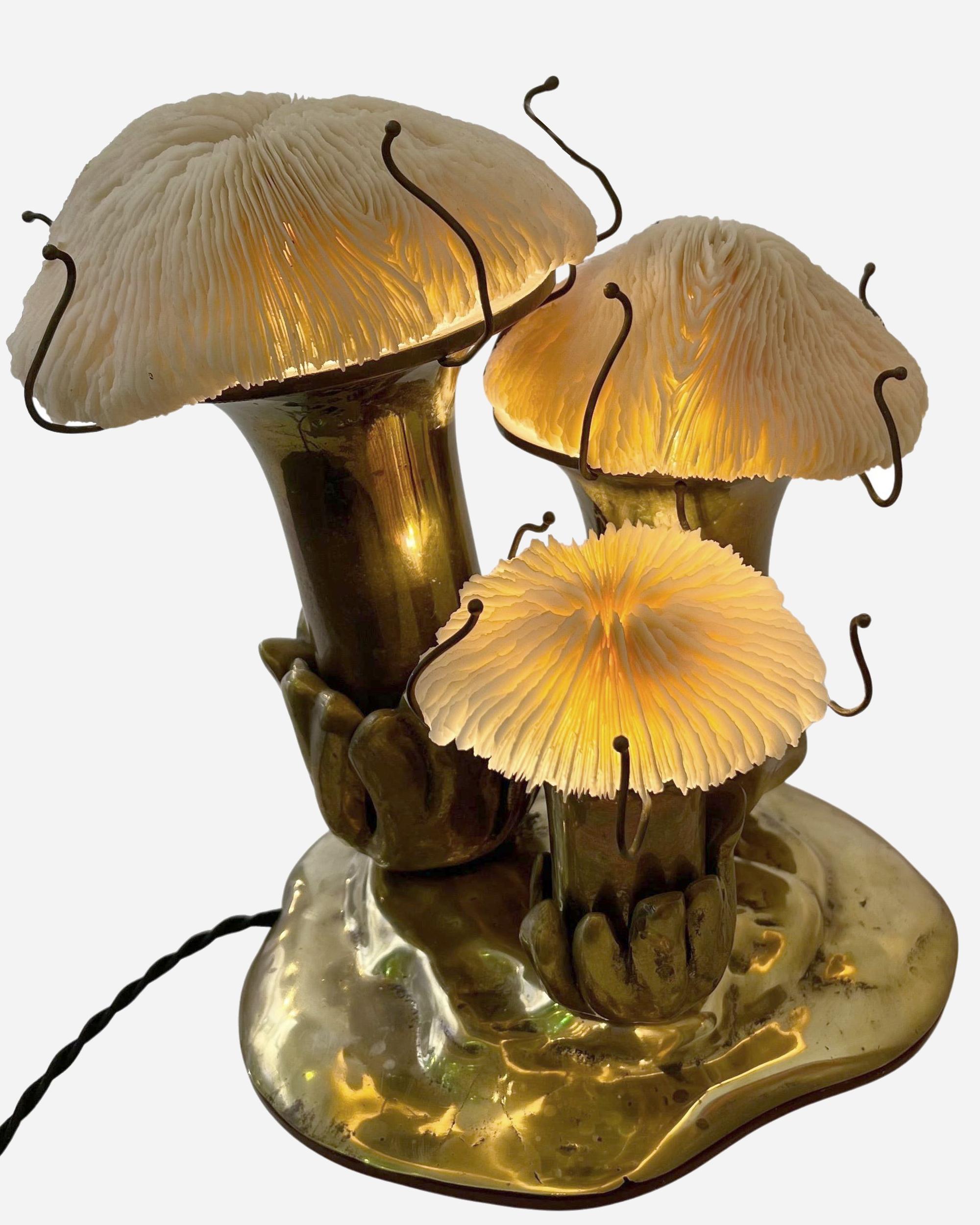 A rare table lamp, the base is made of solid bronze and conceals three lights.
The mushroom caps are coral mushrooms (Fungiidae).
It’s not signed but attributed to Jacques Duval-Brasseur.

Biography

Jacques Duval-Brasseur (1934 – 2021)

Jacques