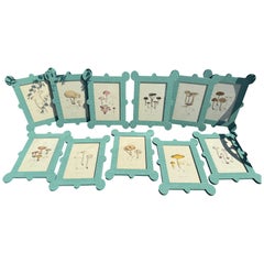 Mushroom watercolors in custom faux burlap painted frames by Fabulous Things