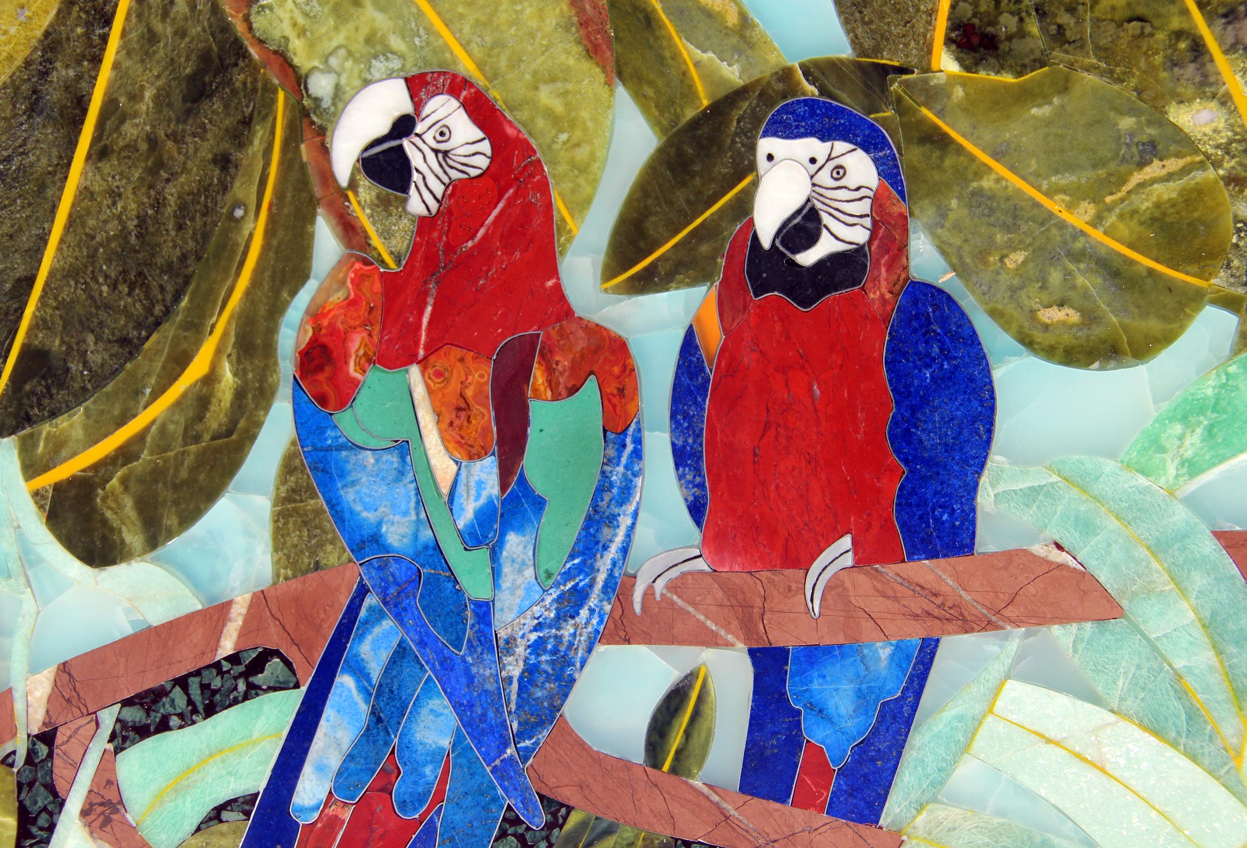 Pakistani Music of the Macaws II by Studio Lel