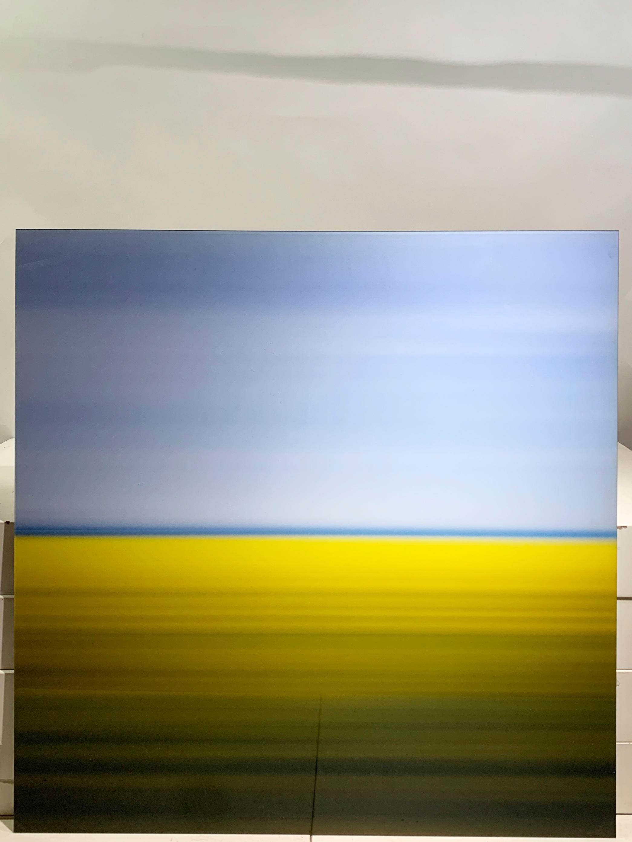 Mustard Field Lambda color print, numbered 6 out of 150. 80 x 80 cm. 
On the reverse on label autographed D. Burdeny, num 06/150.

Year 2001, Print : 2010
 

Mounted on acrylic

Canadian photographer, David Burdeny studied architecture and interior
