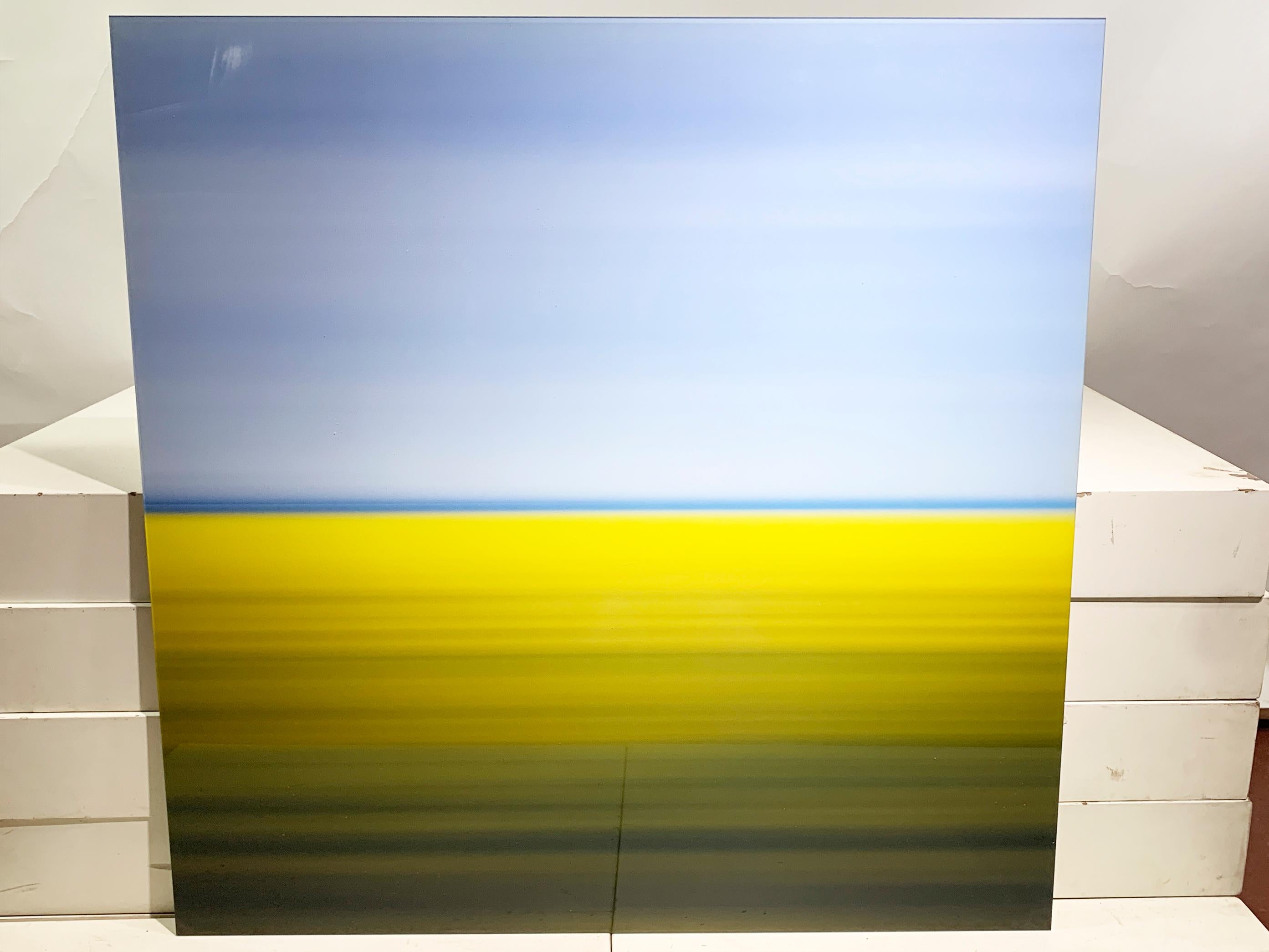 Contemporary Mustard Field Limited Edition Original Print, signed by David Burdeny for Lumas For Sale