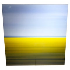 Stampa originale di Mustard Field in edizione limitata, firmata da David Burdeny per Lumas