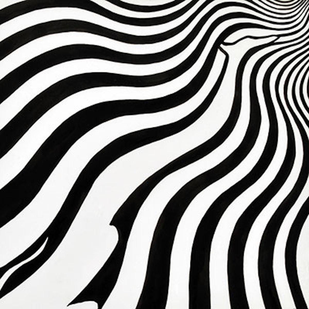 El perro de Bridget Riley