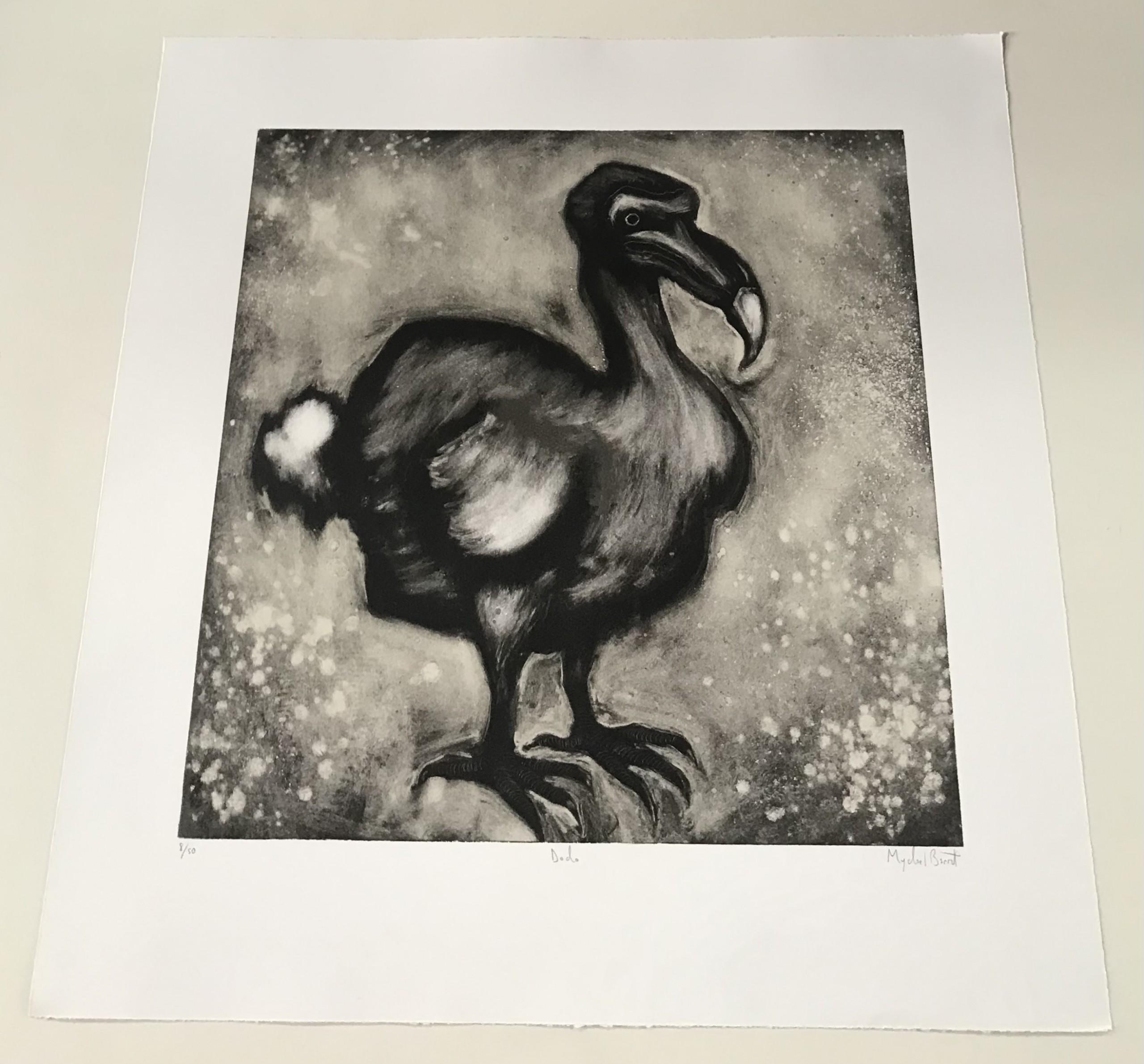 Dodo des Künstlers Mychael Barratt ist ein Druck in limitierter Auflage. Die Szene stellt einen Dodo dar. Durch die Verwendung von MATERIAL erhält der Vogel weichere Züge. Das macht die Arbeit eleganter.

Originalarbeiten von Mychael Barratt sind