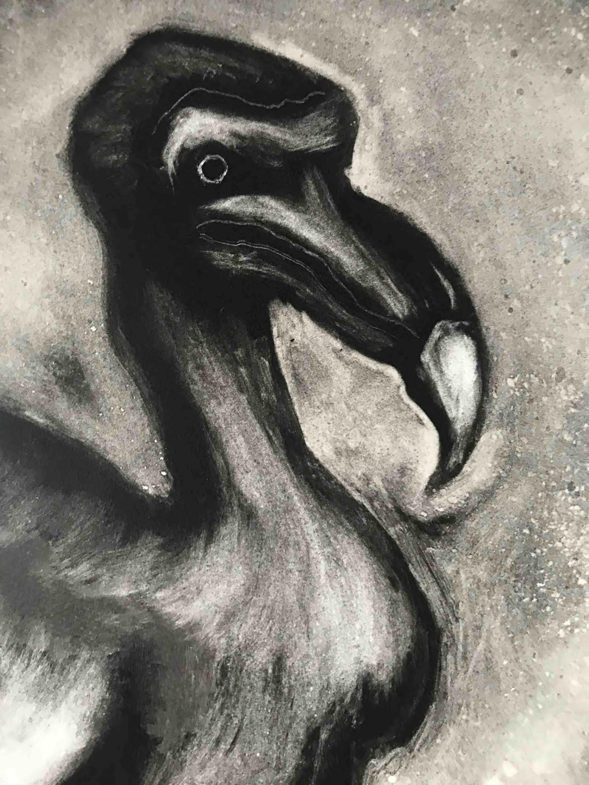 Dodo, Zeitgenössischer Tierdruck, Halbabstraktes Kunstwerk im Angebot 1