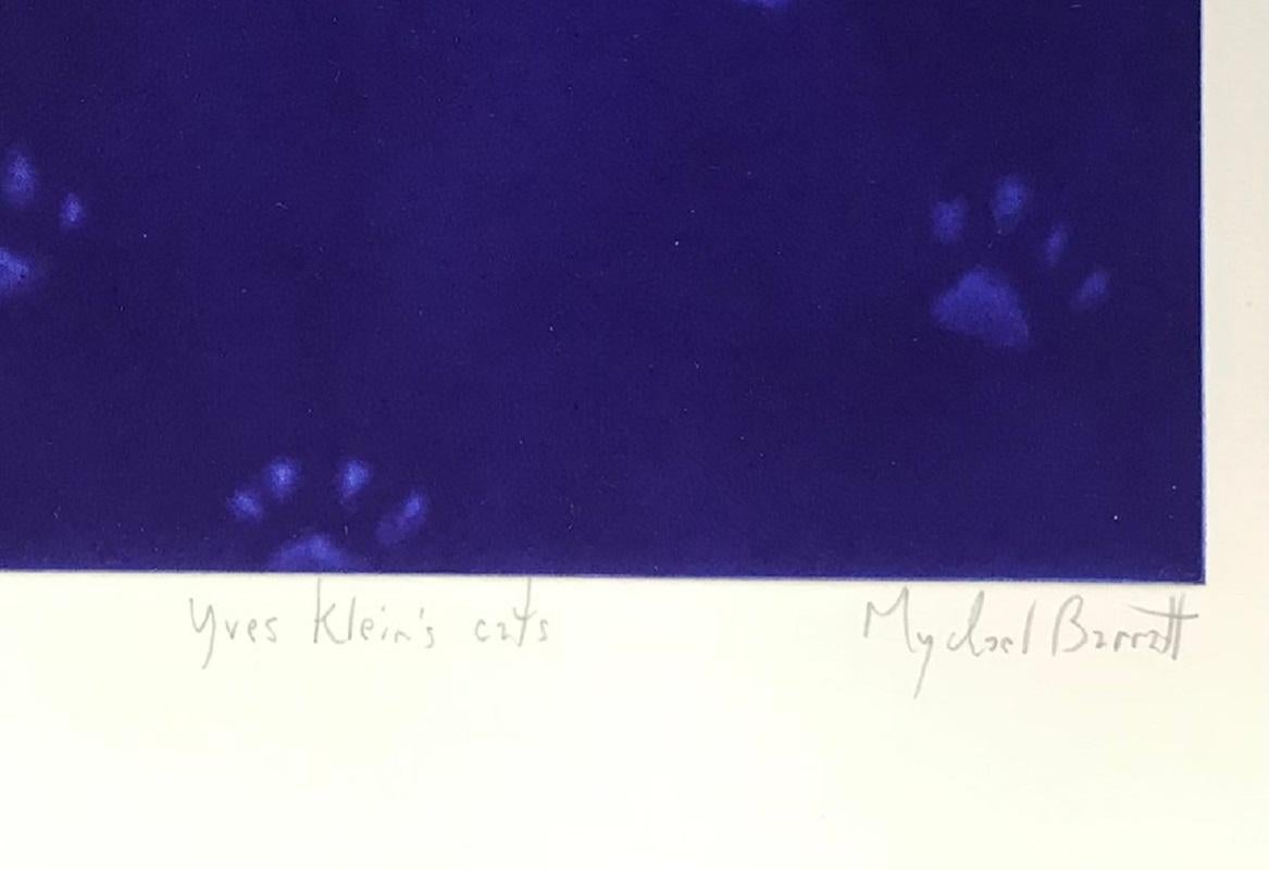 Yves Klein’s Cat with Mezzotint on Paper, Print by Mychael Barratt For Sale 4