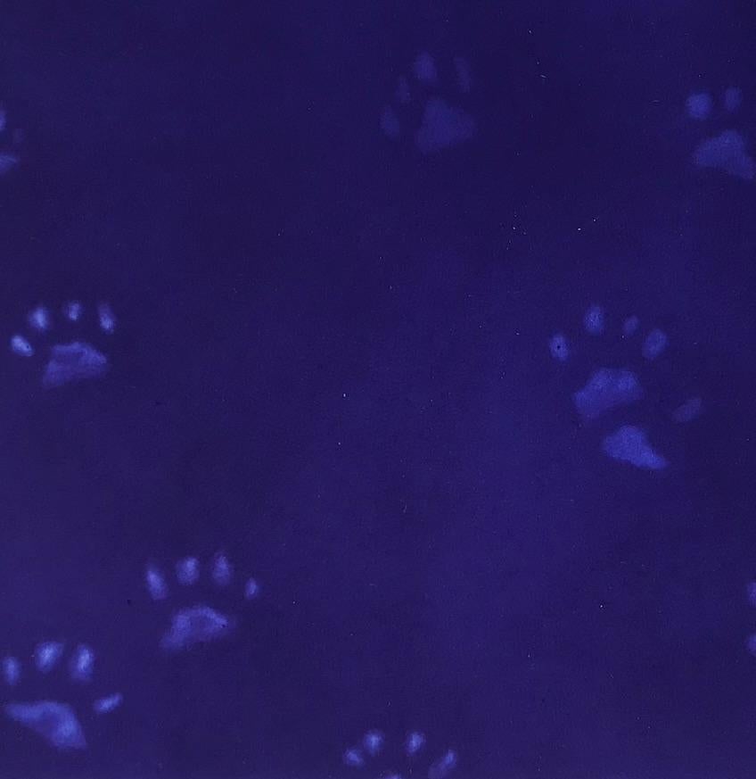 Yves Klein’s Cat with Mezzotint on Paper, Print by Mychael Barratt For Sale 6
