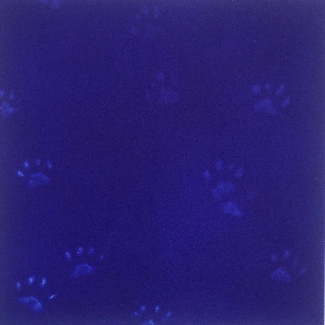 Yves Klein’s Cat by Mychael Barratt [2022]
 
Yves Kleins Cat is a limited edition hand made print by artist Mychael Barratt featuring this brilliant shade of blue taking inspiration from the artist Yves Klein.
 
Additional
