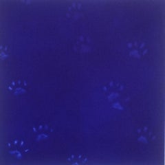 Gatto di Yves Klein con mezzatinta su carta, Stampa di Mychael Barratt