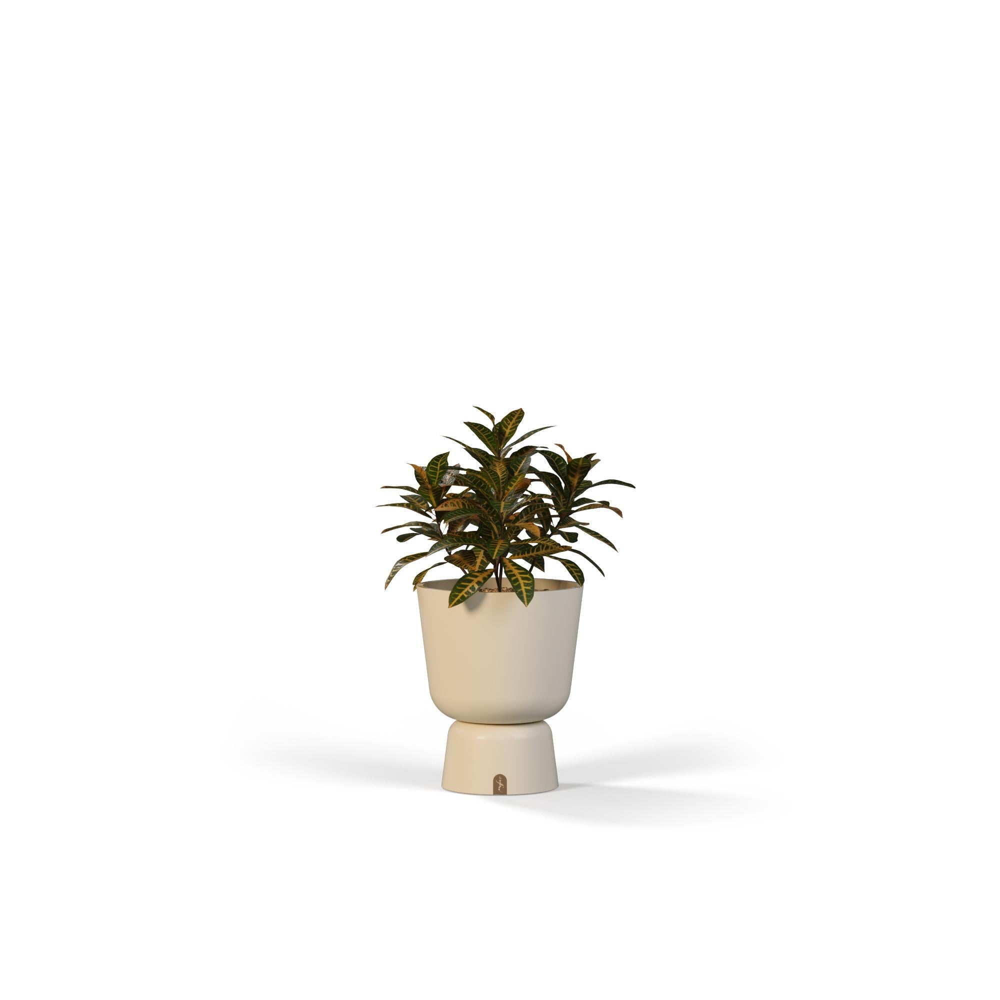 Jardinière d'extérieur Eden C en fibre de verre Myface Neuf - En vente à Santo Tirso, PT