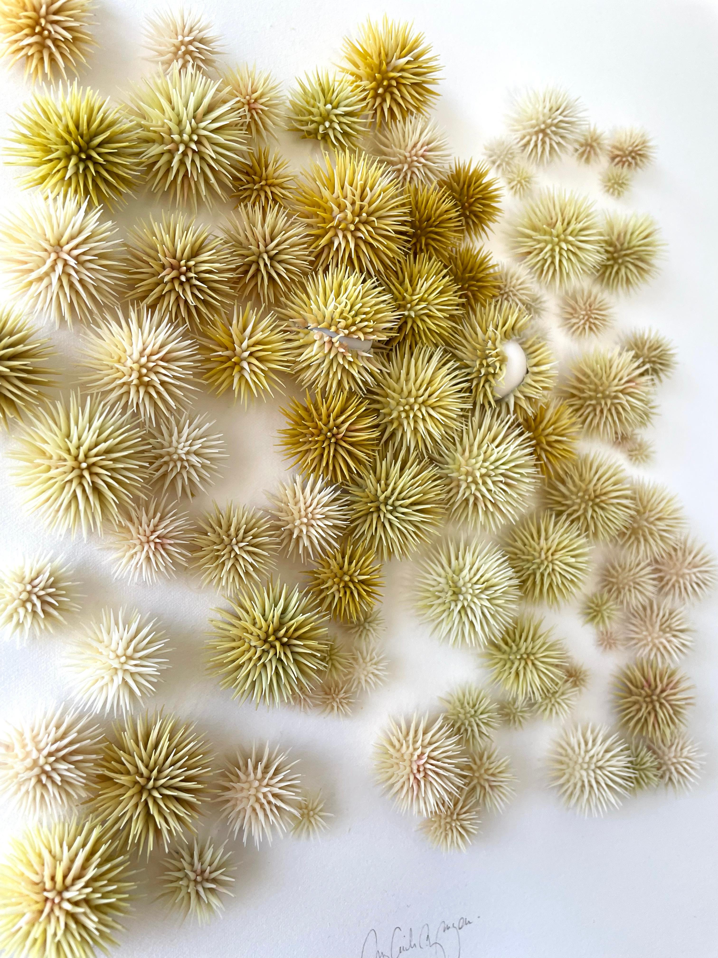 Sea Urchins - abstract nature inspired framed minimal collage of clay on paper 1