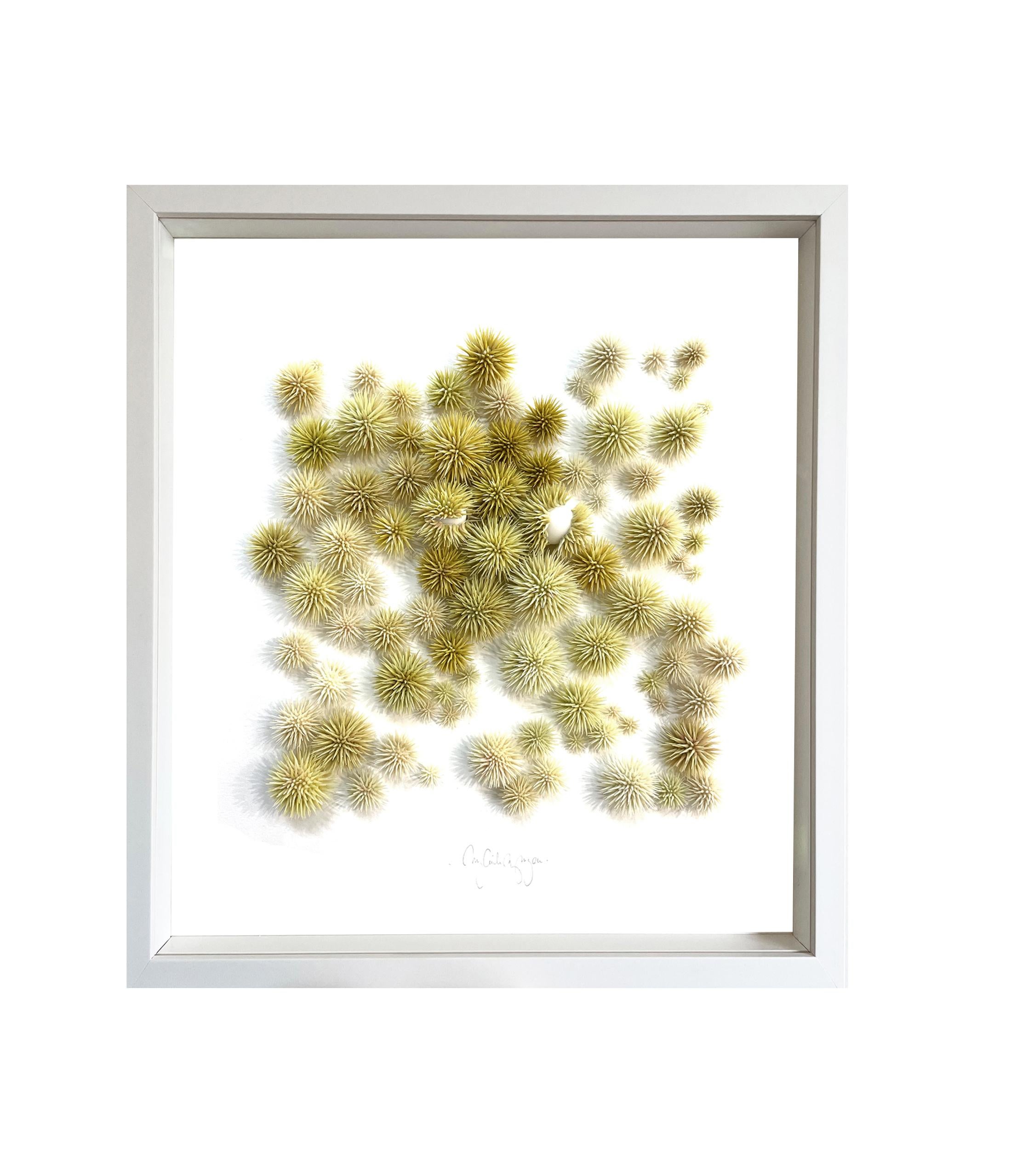 Sea Urchins - abstract nature inspired framed minimal collage of clay on paper - Mixed Media Art by Mylinh Ngyen