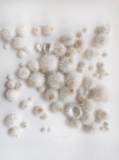 Sea Urchins white - abstract nature inspired minimal collage of clay on paper