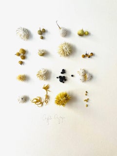 Yellow Picking - collage minimal astratto di Nature ispirato all'argilla su carta