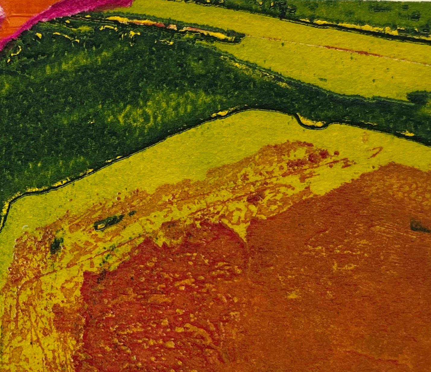 Equatorial Curtain, gravure en taille-douce des années 1960, vert, rose, jaune Collage en vente 1