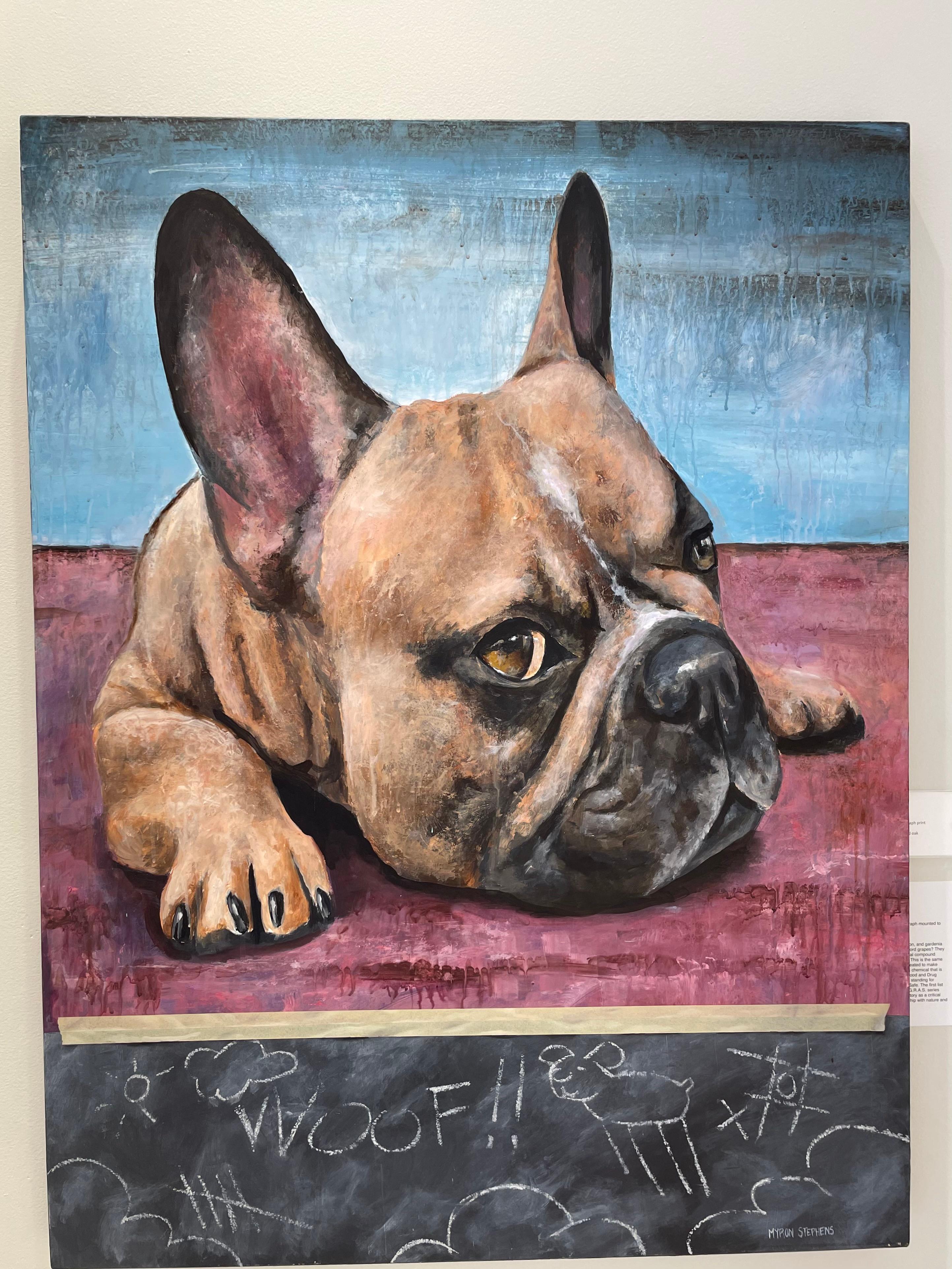 WOOF /  (French Bulldog) - Painting by Myron Stephens