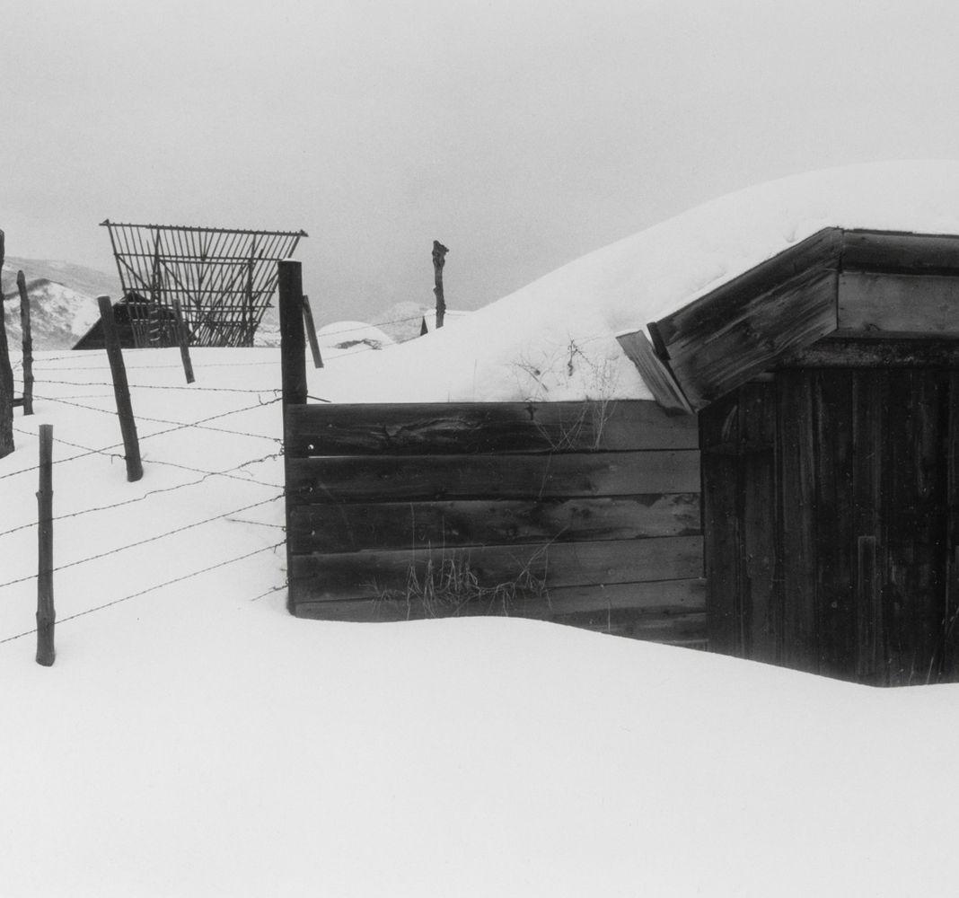 Group of Five Gelatin Silver Prints For Sale 7