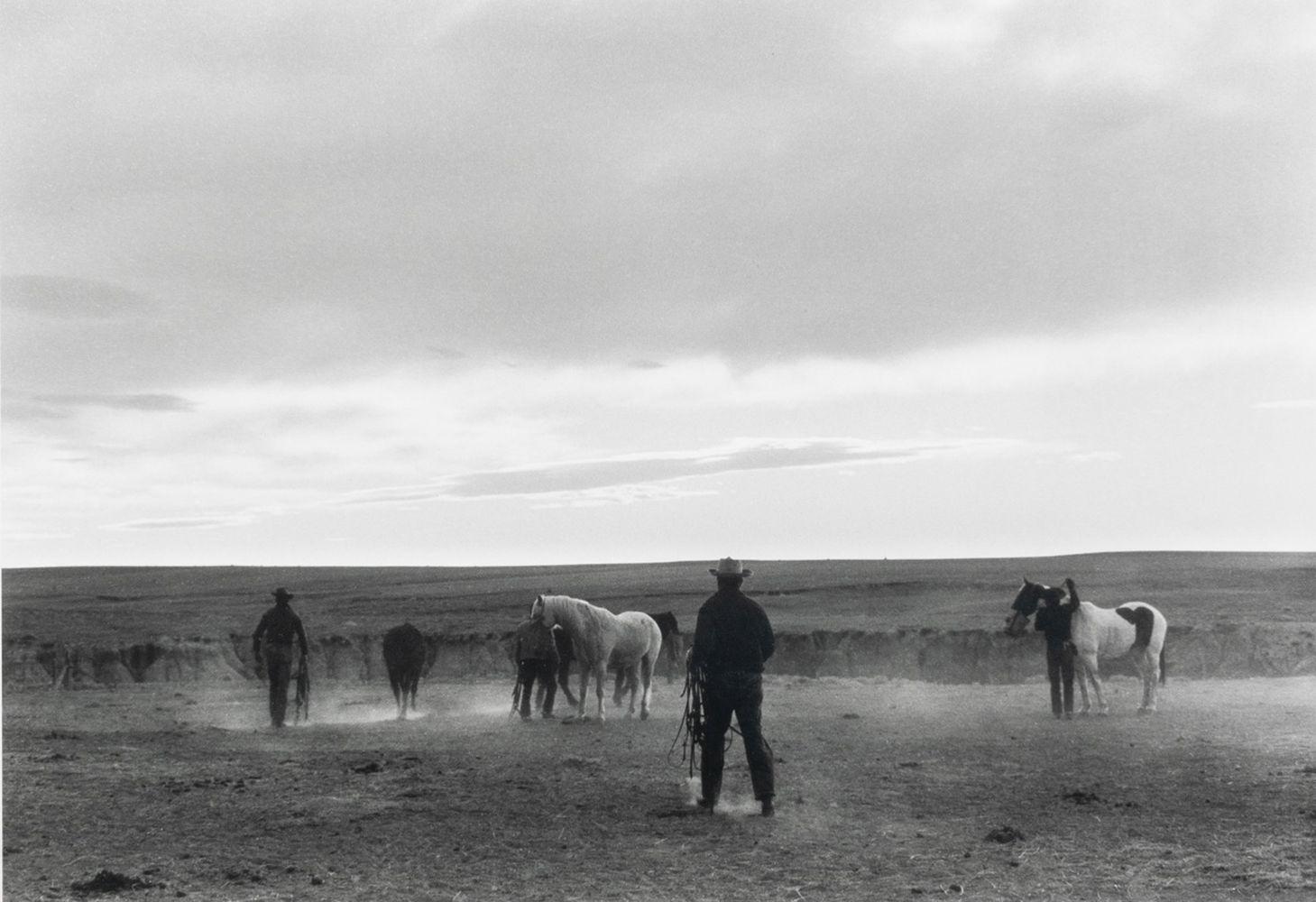 Group of Five Gelatin Silver Prints - Photograph by Myron Wood