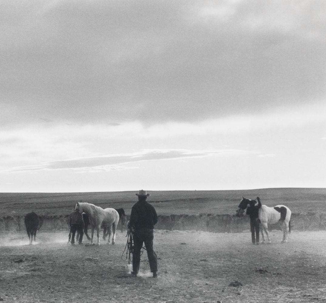 Group of Five Gelatin Silver Prints - Post-War Photograph by Myron Wood