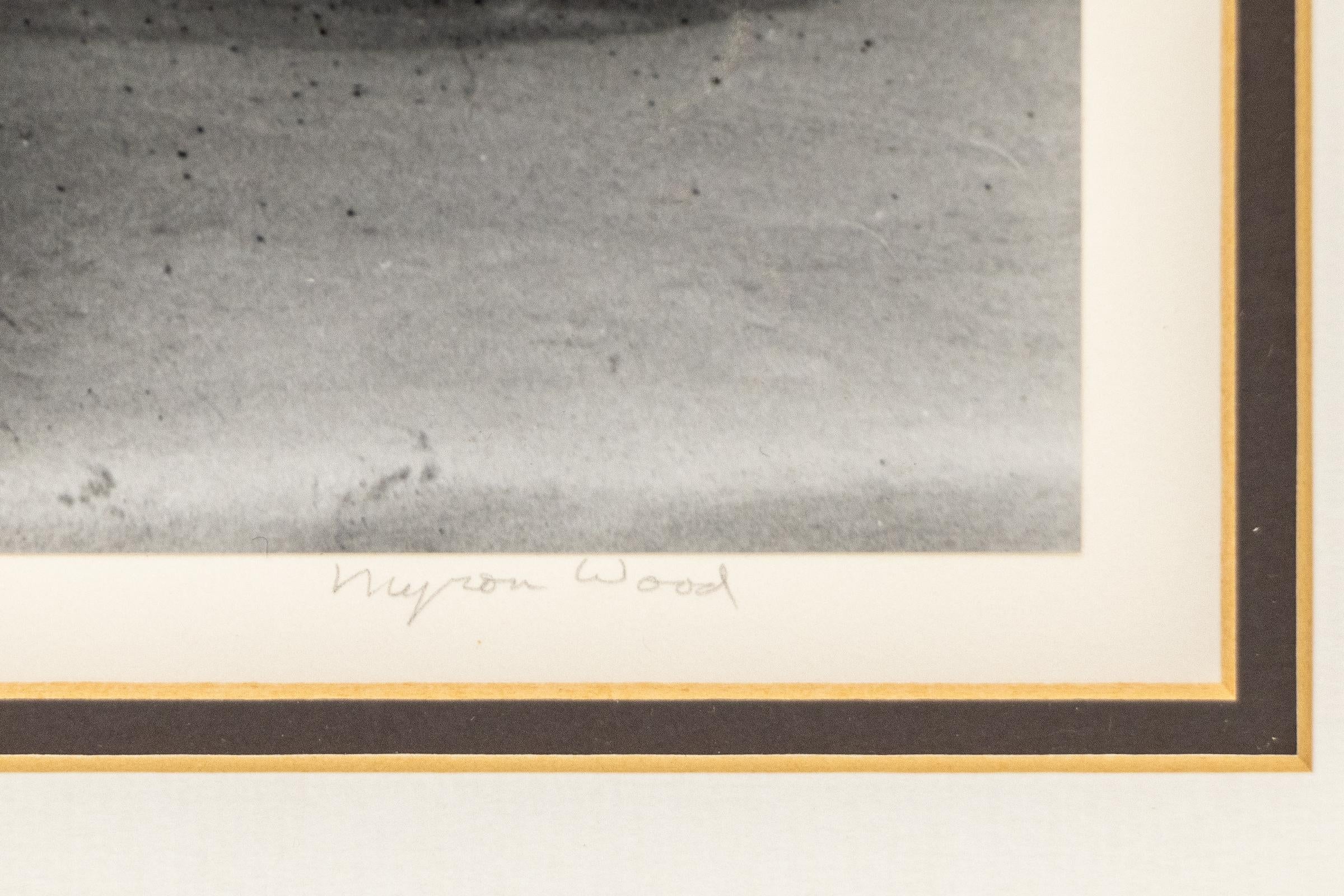 Mobile von Alexander Calder (O'Keeffe in Abiquiu), Myron Wood Fotografie im Angebot 2