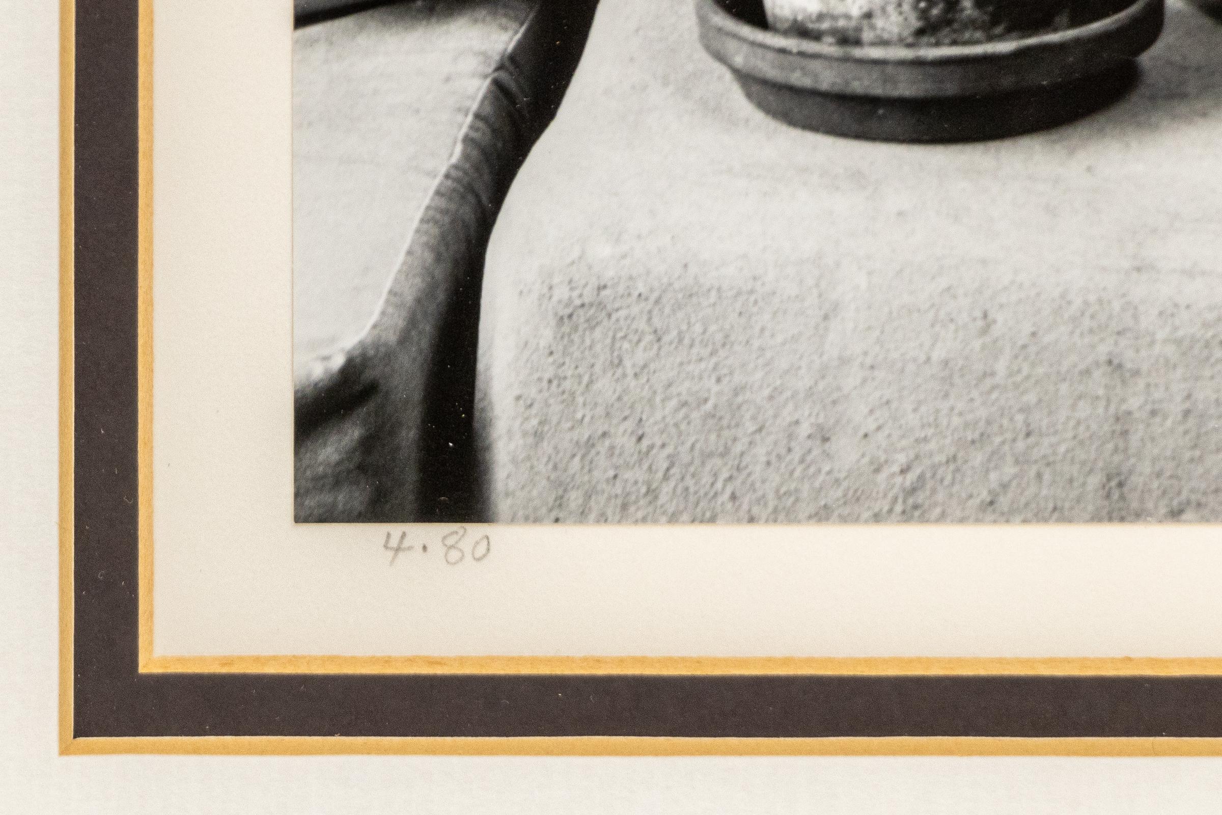 Mobile von Alexander Calder (O'Keeffe in Abiquiu), Myron Wood Fotografie im Angebot 3