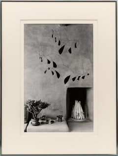 Mobile von Alexander Calder (O'Keeffe in Abiquiu), Myron Wood Fotografie