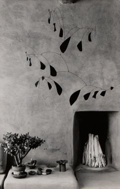 Mobile by Alexander Calder (O'Keeffe at Abiquiu), Myron Wood Photograph