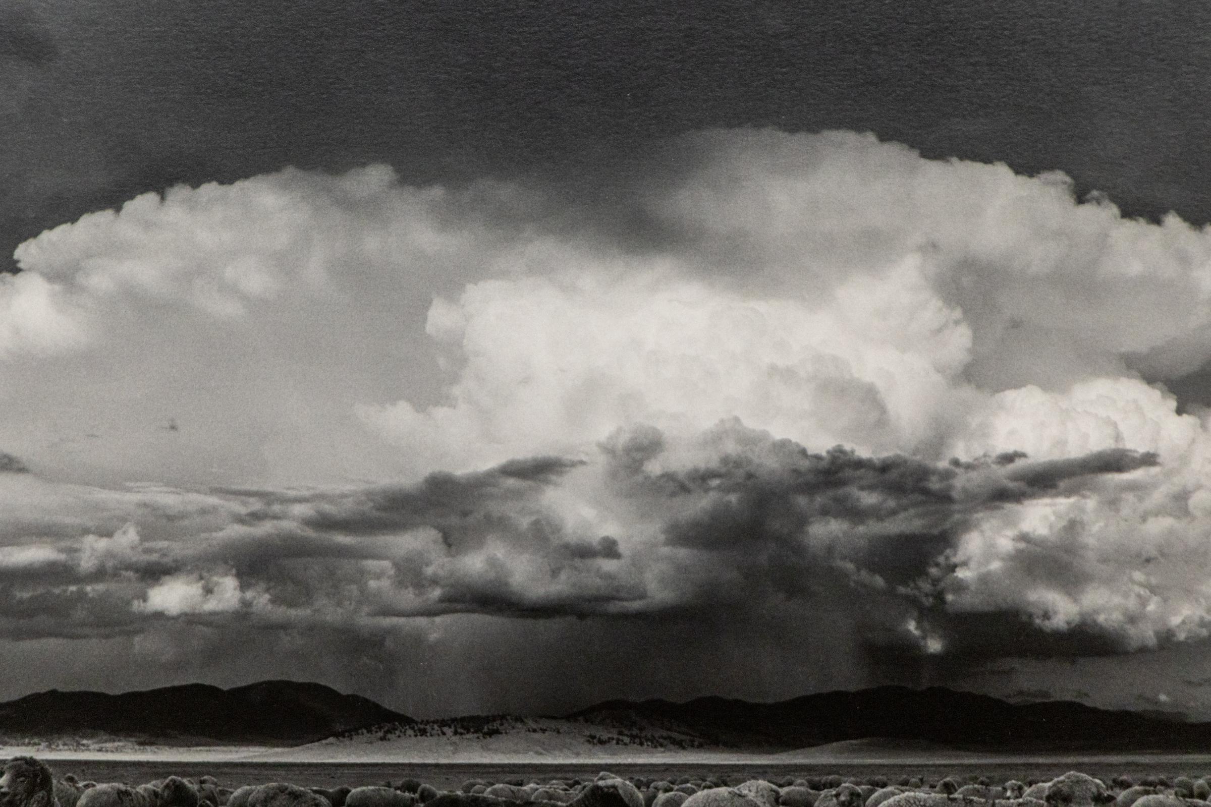 Capturez la beauté intemporelle de l'Ouest américain avec cette photographie vintage des années 1960 du célèbre photographe Myron Wood. Intitulée 