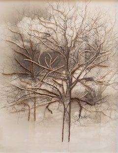 'Blue Ridge Seen Embroidered' - tree photography - embroidery