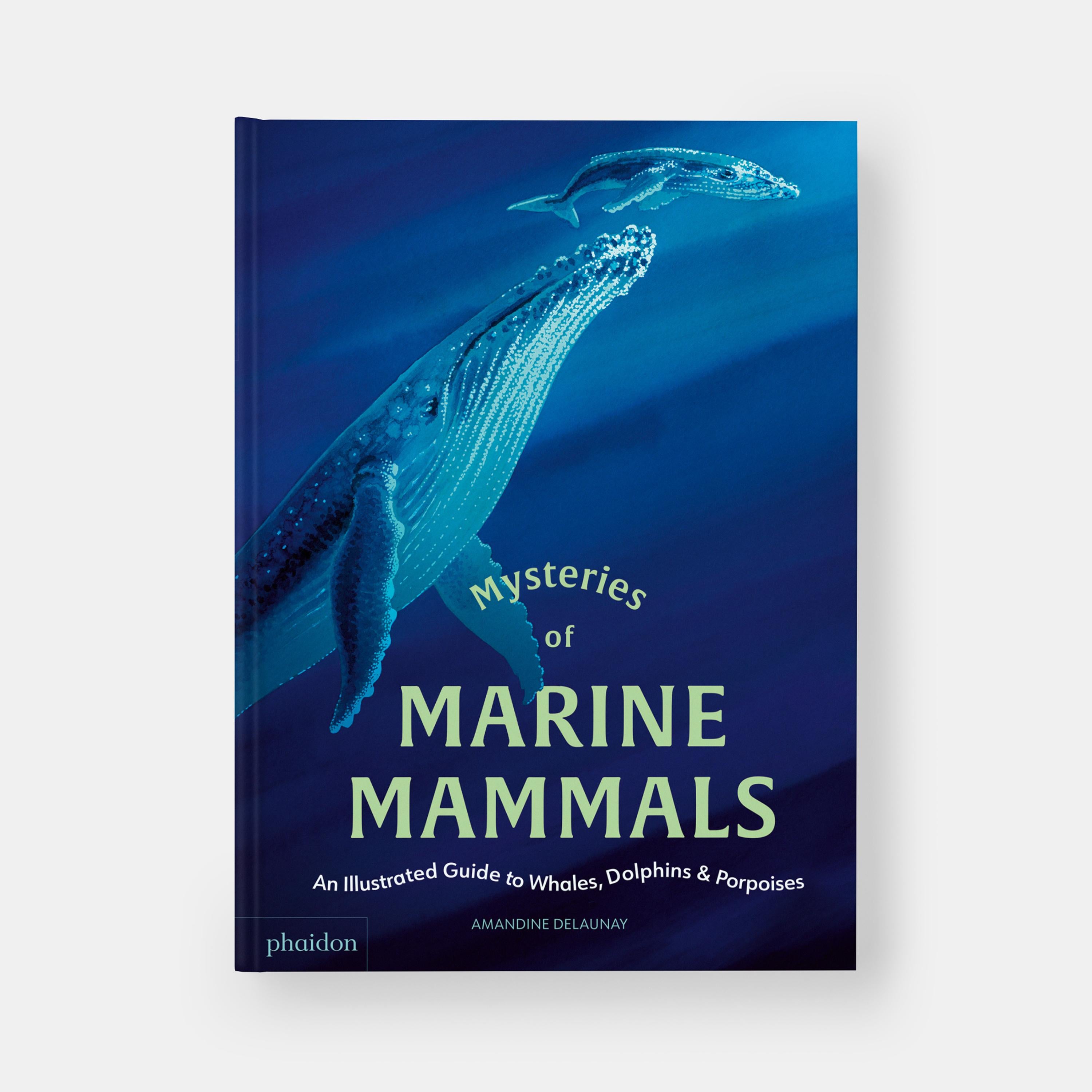 Una encantadora exploración de no ficción de los mayores mamíferos marinos del mundo

Sumérgete en el mundo único de las ballenas, los delfines y las marsopas. Esta guía bellamente diseñada para niños a partir de siete años ofrece una inmersión