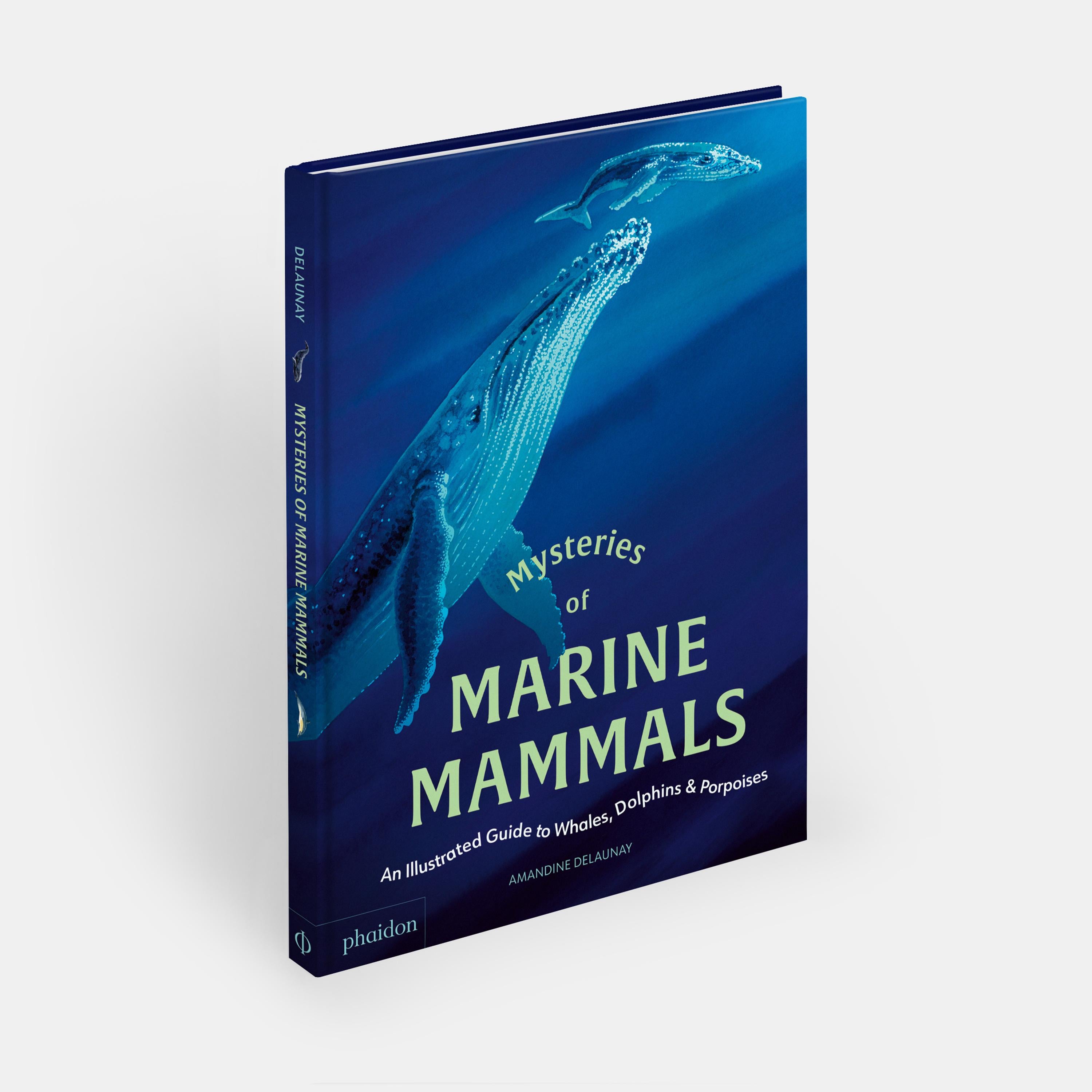 Los misterios de los mamíferos marinos Guía ilustrada de ballenas, delfines y marsopas Chino en venta