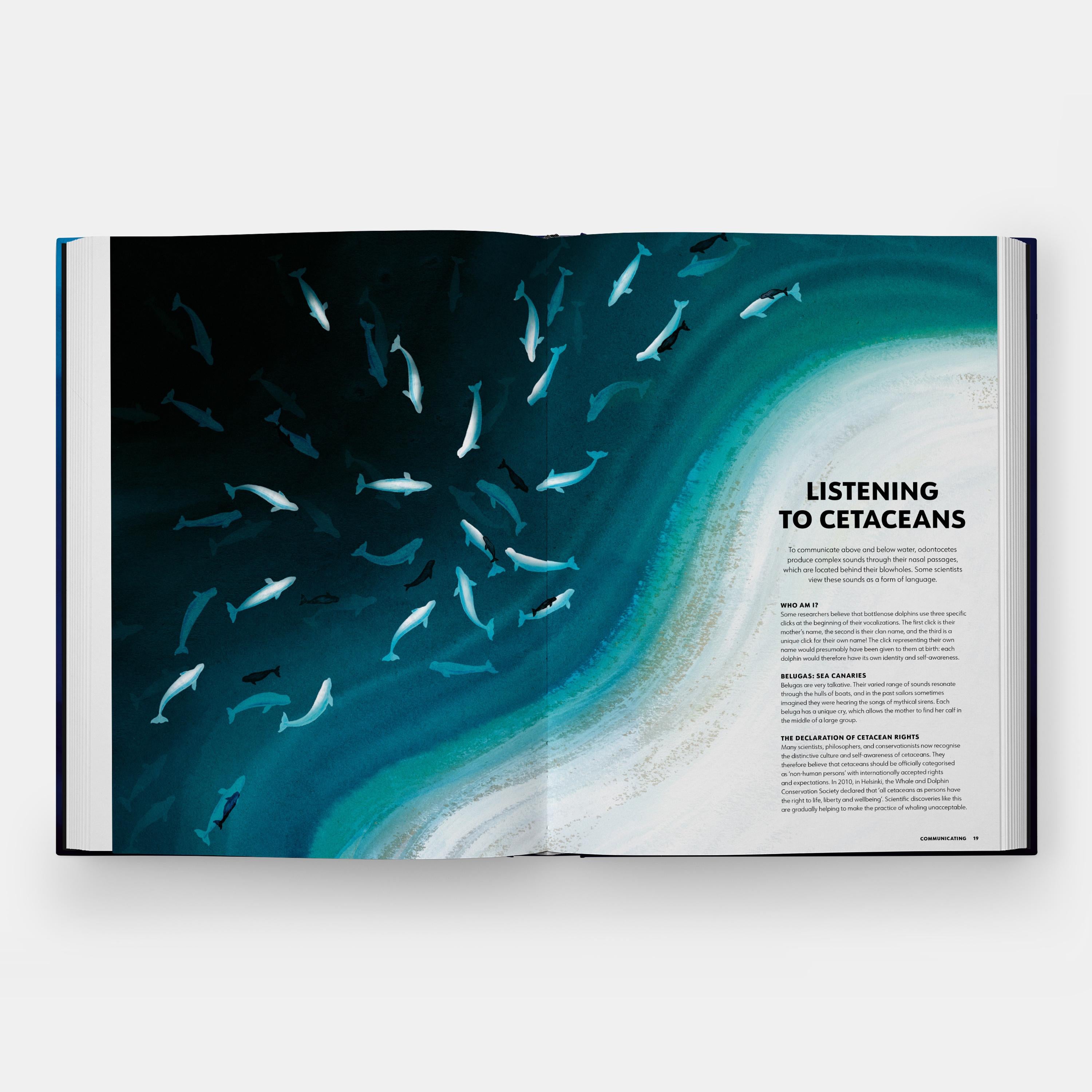Los misterios de los mamíferos marinos Guía ilustrada de ballenas, delfines y marsopas en Nuevo estado para la venta en New York, NY