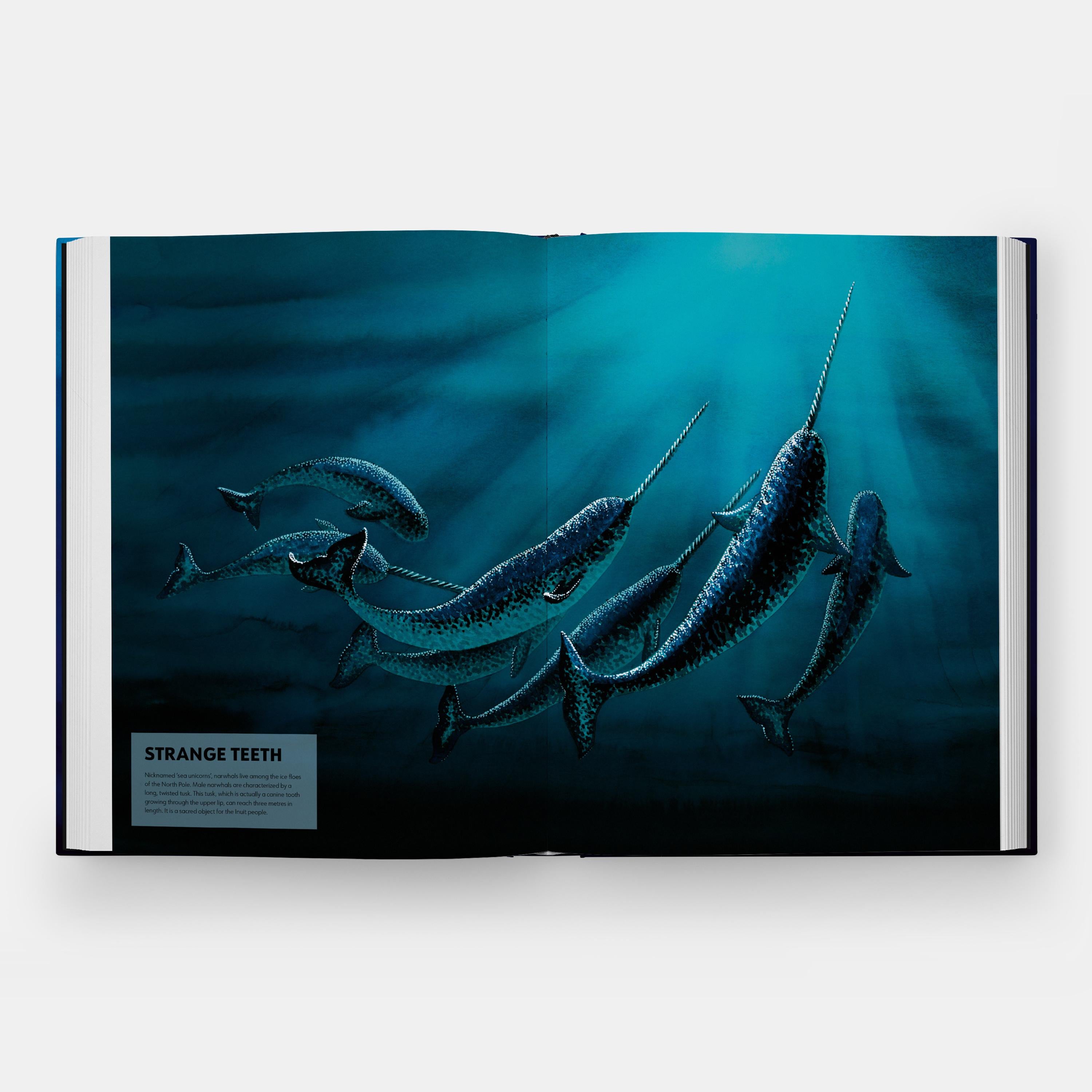 Los misterios de los mamíferos marinos Guía ilustrada de ballenas, delfines y marsopas en venta 1