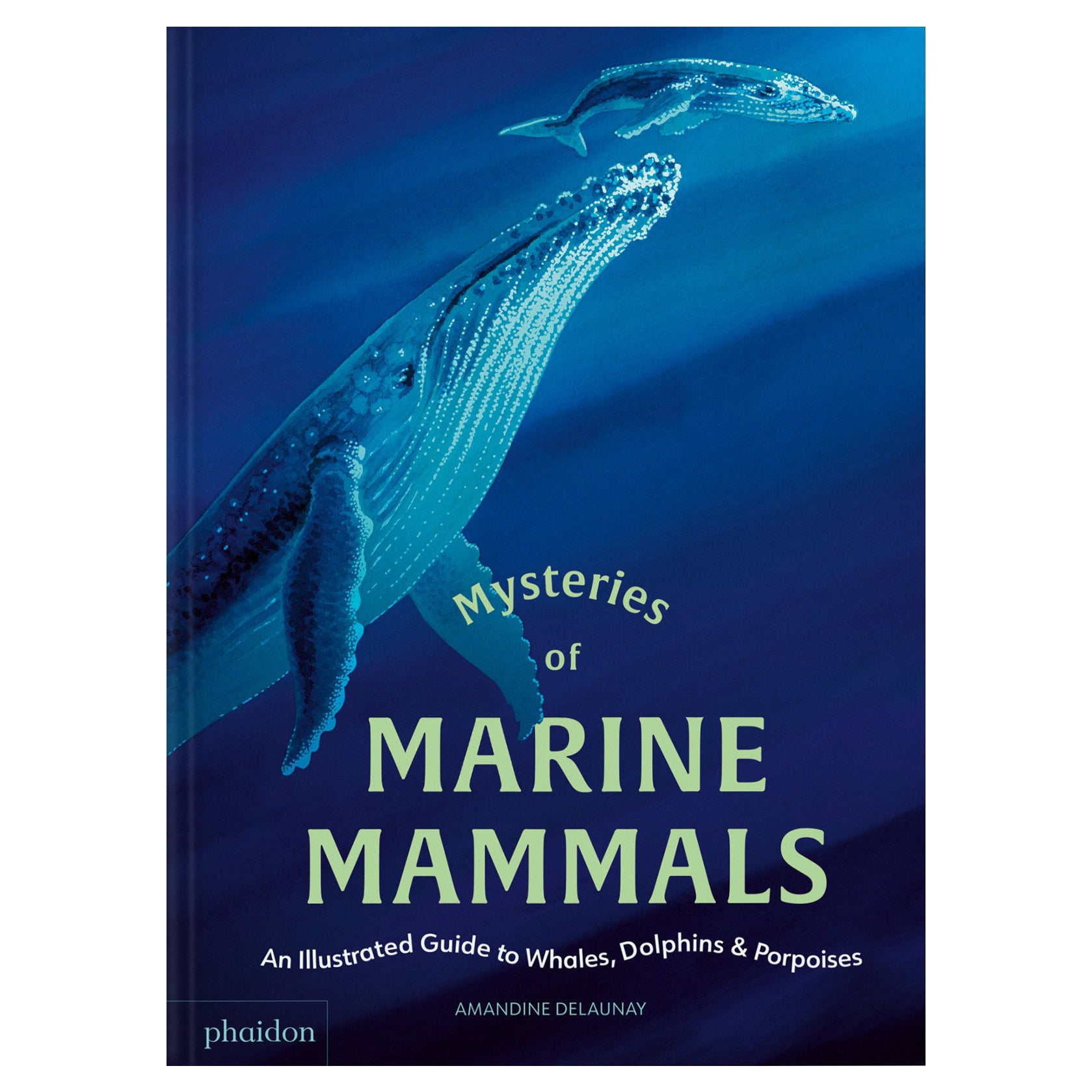 I Misteri dei Mammiferi Marini Una Guida Illustrata alle Balene, ai Delfini e alle Porche